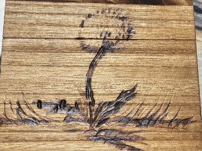 Custom wood burned boxes