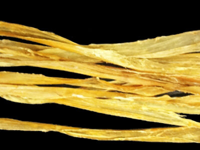 Real Sinew